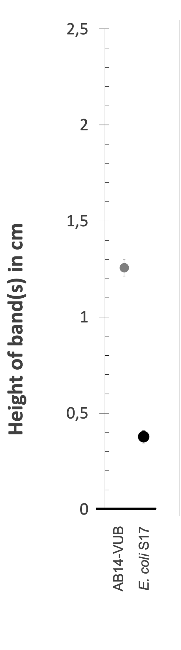 Density gradient