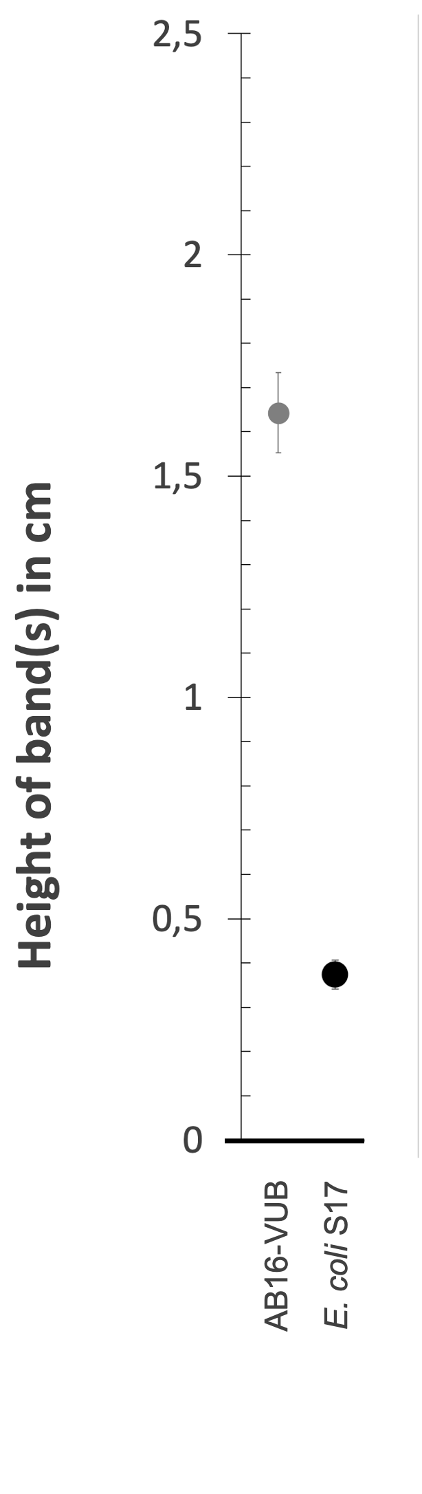 Density gradient