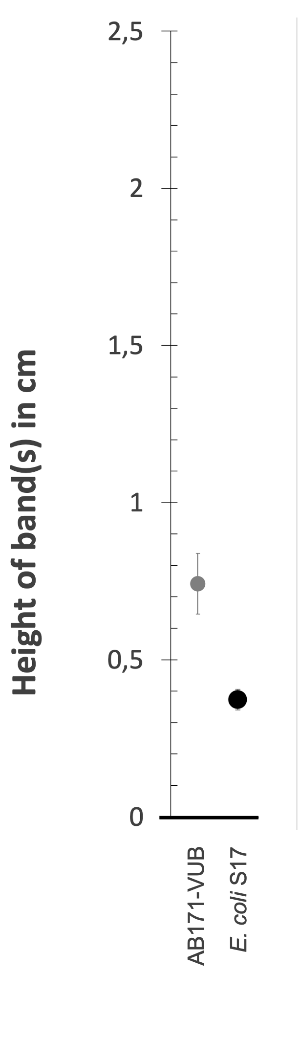 Density gradient