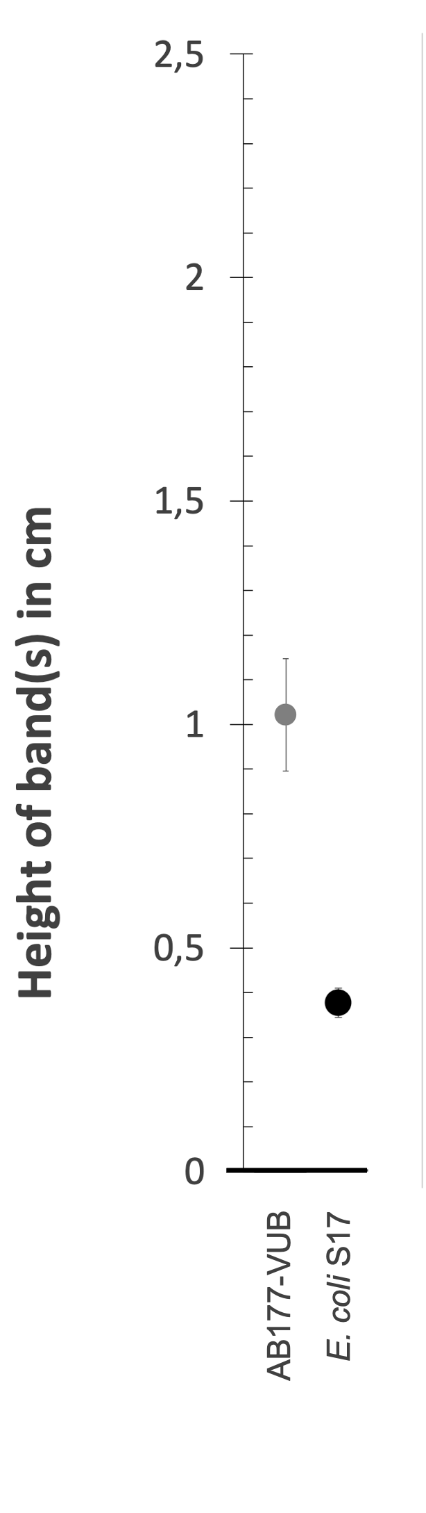 Density gradient