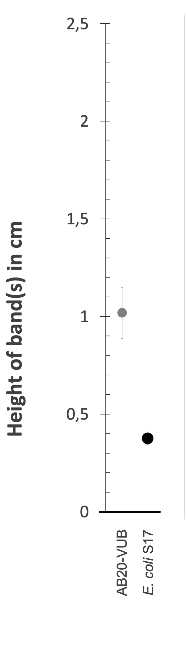 Density gradient