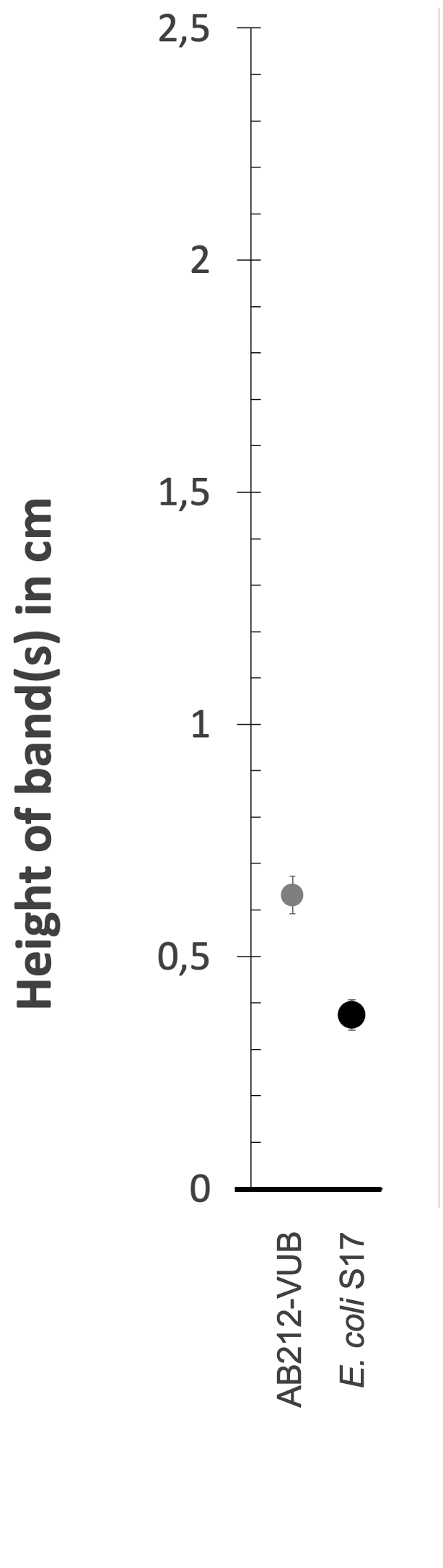 Density gradient