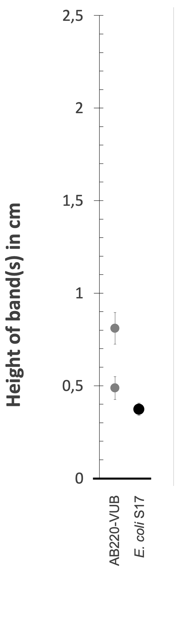 Density gradient