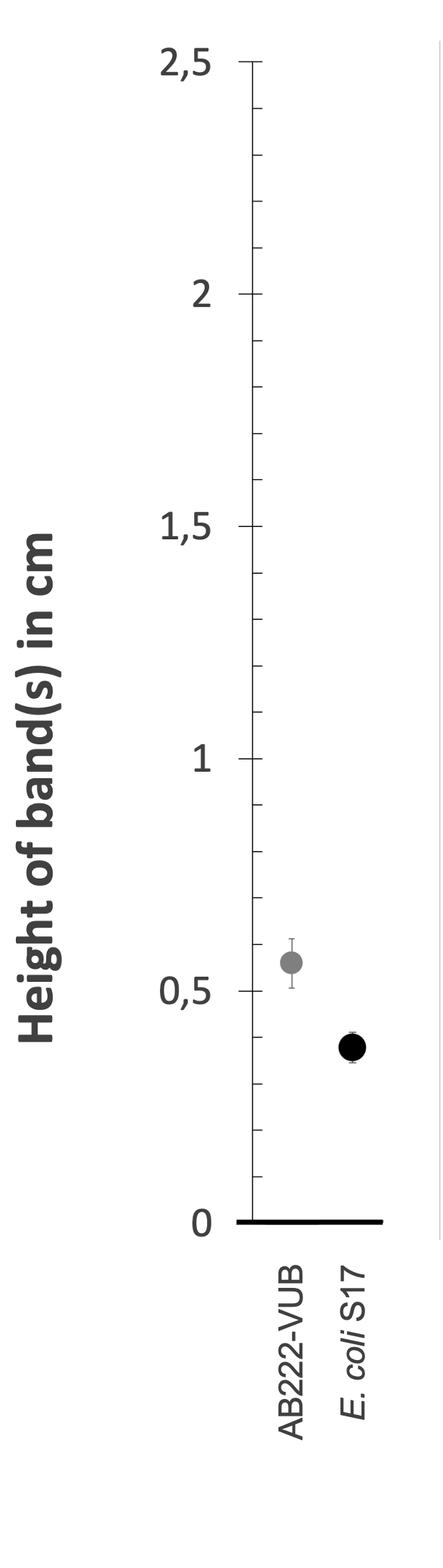 Density gradient