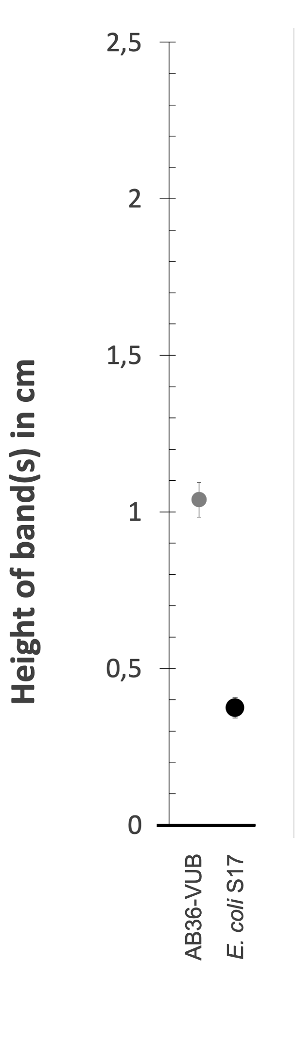 Density gradient