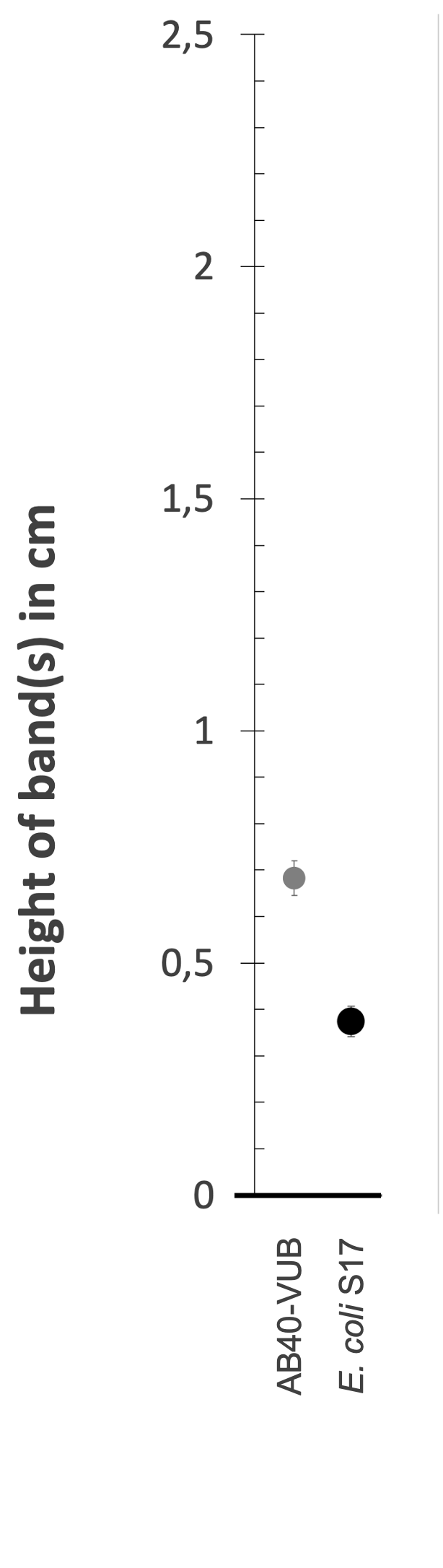 Density gradient