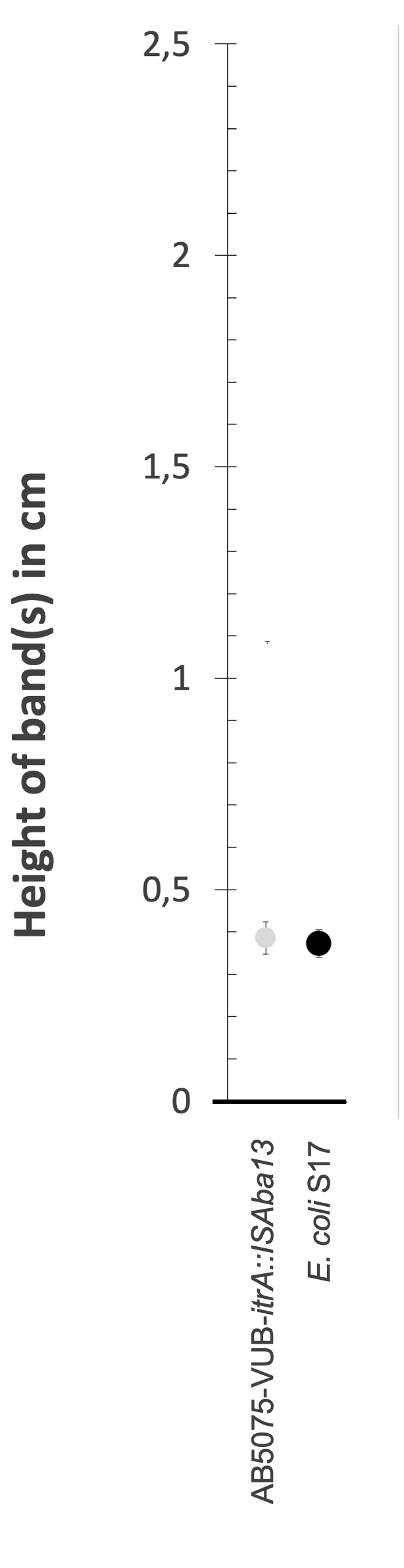 Density gradient