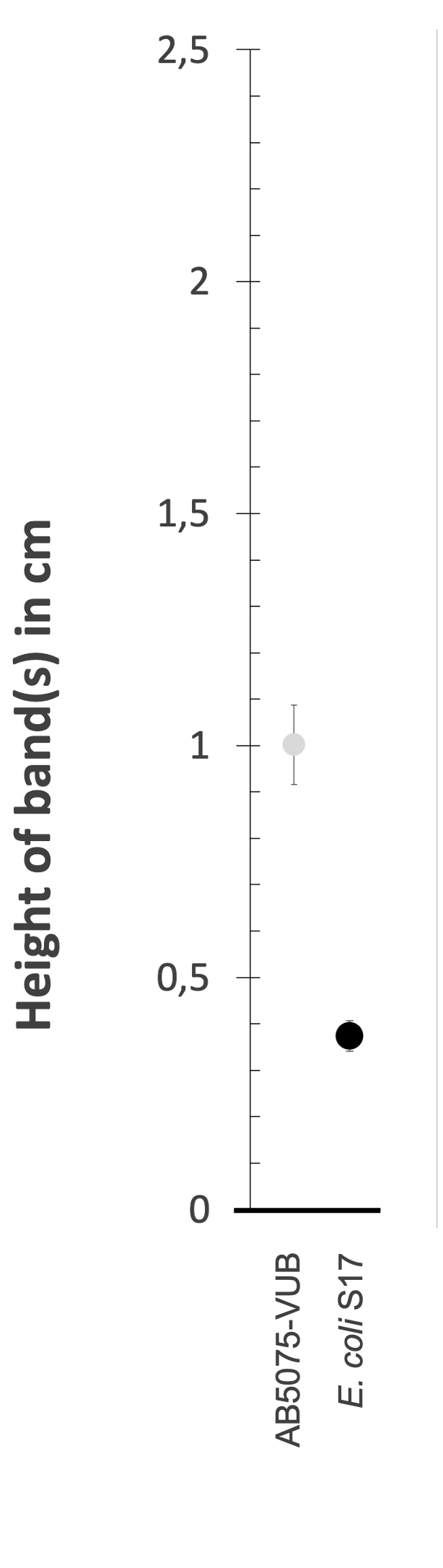 Density gradient