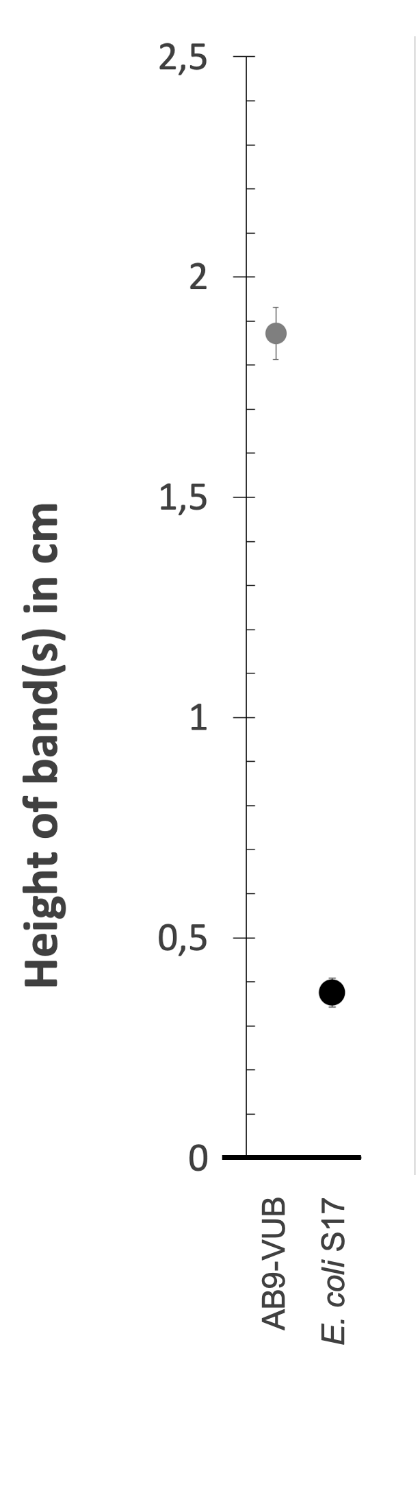 Density gradient