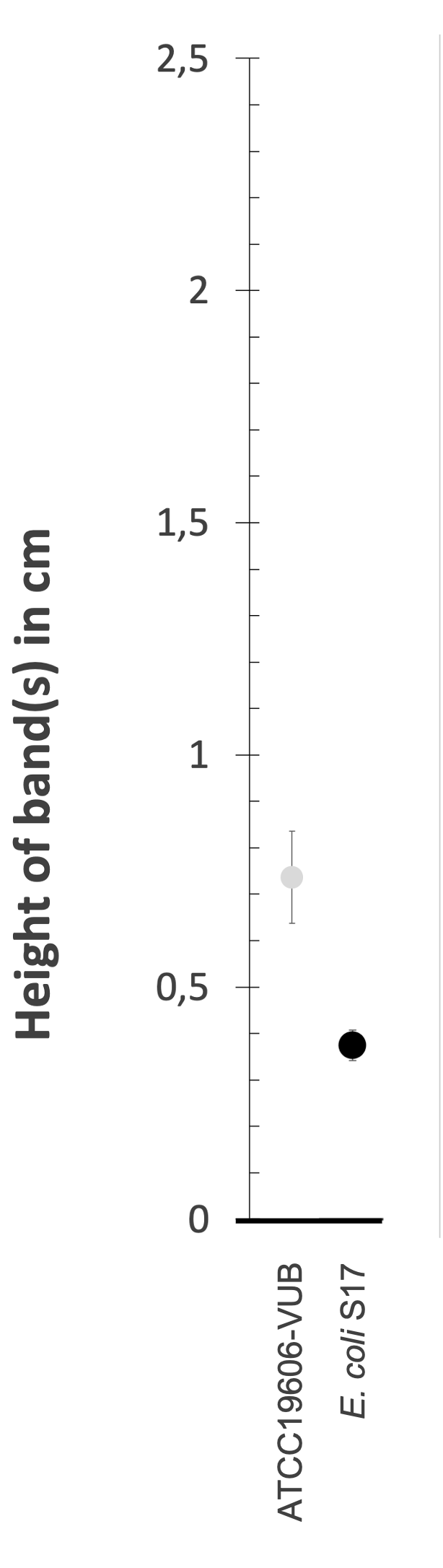 Density gradient